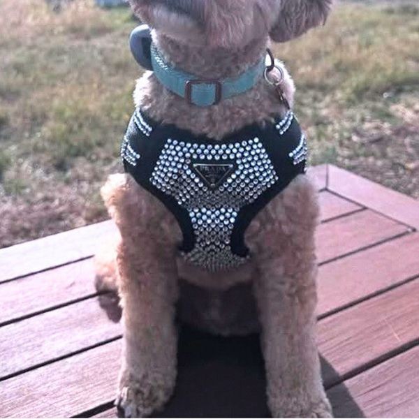 お洒落☆】プラダ クリスタルスタッズ 犬用ハーネス 偽物 ロゴ付き